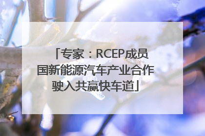专家：RCEP成员国新能源汽车产业合作驶入共赢快车道