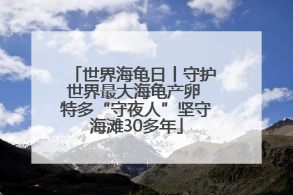 世界海龟日丨守护世界最大海龟产卵 特多“守夜人”坚守海滩30多年