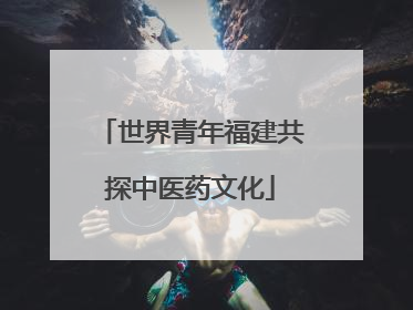 世界青年福建共探中医药文化