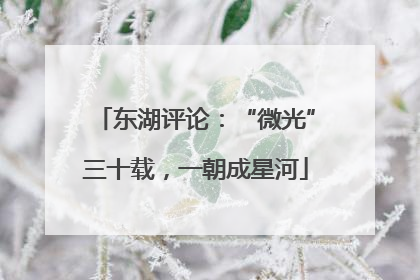 东湖评论：“微光”三十载，一朝成星河