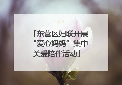东营区妇联开展“爱心妈妈”集中关爱陪伴活动