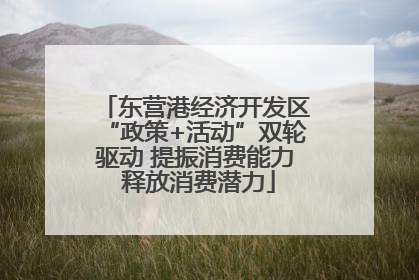 东营港经济开发区“政策+活动”双轮驱动 提振消费能力 释放消费潜力