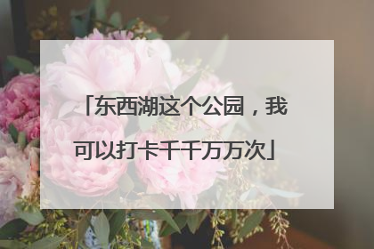 东西湖这个公园，我可以打卡千千万万次