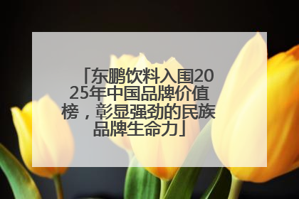 东鹏饮料入围2025年中国品牌价值榜，彰显强劲的民族品牌生命力