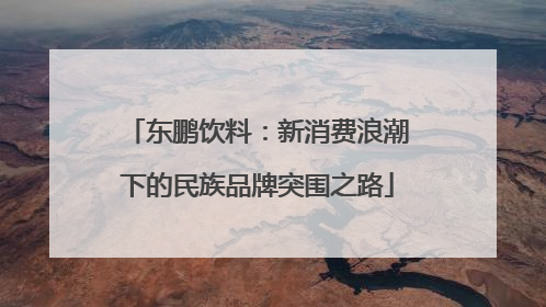 东鹏饮料：新消费浪潮下的民族品牌突围之路