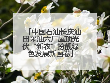 中国石油长庆油田采油六厂屋顶光伏“新衣”扮靓绿色发展新画卷