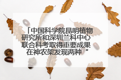 中国科学院昆明植物研究所和深圳兰科中心联合科考取得重要成果 在神农架发现两种“国保”级兰花