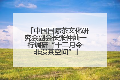 中国国际茶文化研究会副会长张仲灿一行调研“十二月令·非遗茶空间”