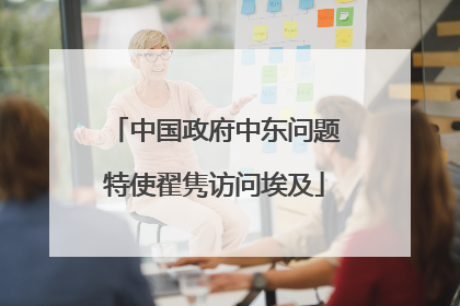 中国政府中东问题特使翟隽访问埃及