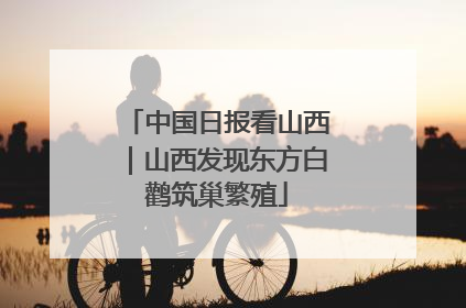 中国日报看山西｜山西发现东方白鹳筑巢繁殖