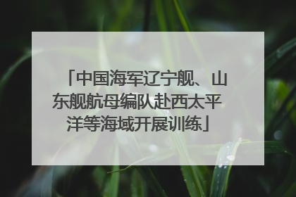 中国海军辽宁舰、山东舰航母编队赴西太平洋等海域开展训练