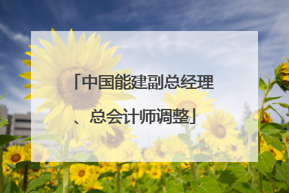 中国能建副总经理、总会计师调整