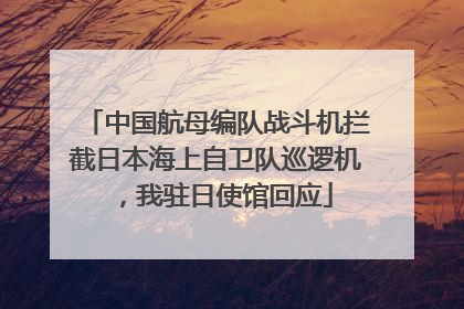 中国航母编队战斗机拦截日本海上自卫队巡逻机，我驻日使馆回应