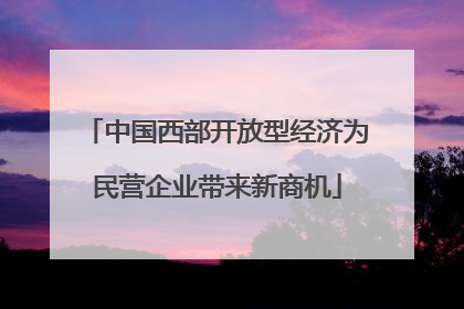 中国西部开放型经济为民营企业带来新商机