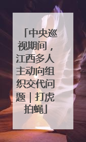 中央巡视期间，江西多人主动向组织交代问题｜打虎拍蝇