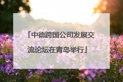 中德跨国公司发展交流论坛在青岛举行