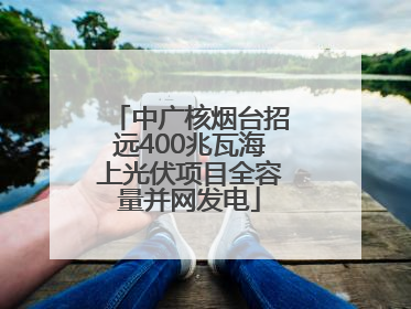 中广核烟台招远400兆瓦海上光伏项目全容量并网发电