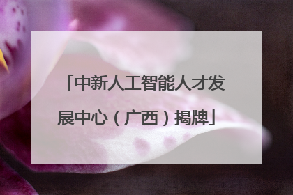 中新人工智能人才发展中心（广西）揭牌