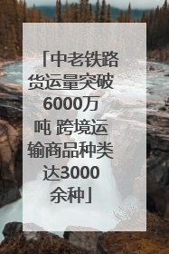 中老铁路货运量突破6000万吨 跨境运输商品种类达3000余种