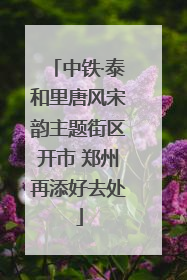 中铁·泰和里唐风宋韵主题街区开市 郑州再添好去处
