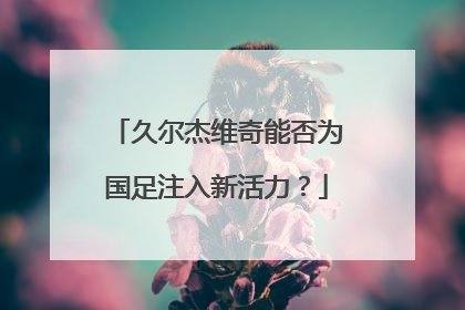 久尔杰维奇能否为国足注入新活力？