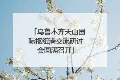 乌鲁木齐天山国际枢纽港交流研讨会圆满召开