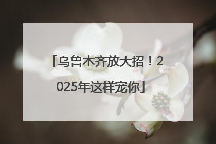 乌鲁木齐放大招！2025年这样宠你
