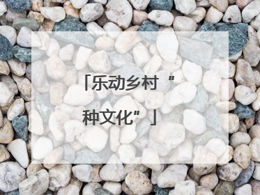 乐动乡村“种文化”