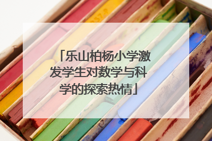 乐山柏杨小学激发学生对数学与科学的探索热情