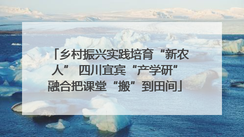 乡村振兴实践培育“新农人” 四川宜宾“产学研”融合把课堂“搬”到田间