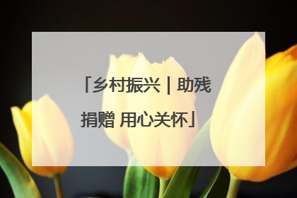 乡村振兴｜助残捐赠 用心关怀