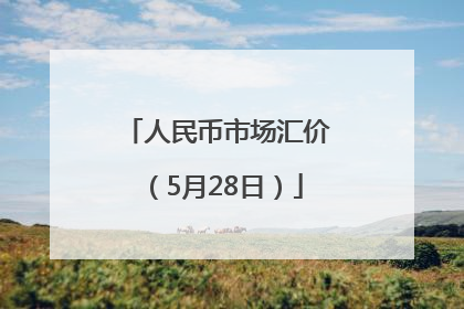 人民币市场汇价（5月28日）