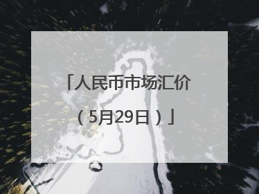 人民币市场汇价（5月29日）