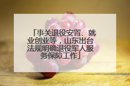 事关退役安置、就业创业等，山东出台法规明确退役军人服务保障工作