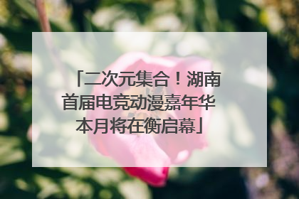 二次元集合！湖南首届电竞动漫嘉年华本月将在衡启幕