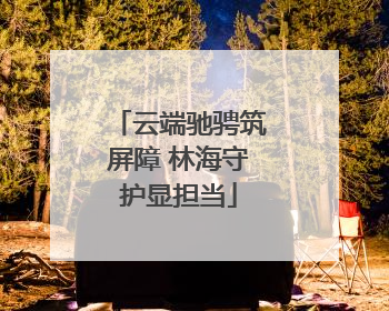 云端驰骋筑屏障 林海守护显担当