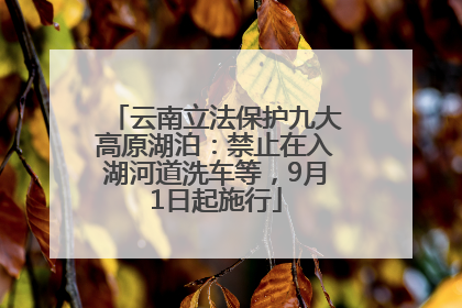 云南立法保护九大高原湖泊：禁止在入湖河道洗车等，9月1日起施行