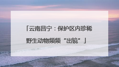 云南昌宁：保护区内珍稀野生动物频频“出镜”