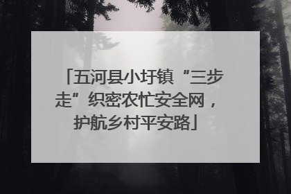五河县小圩镇“三步走”织密农忙安全网，护航乡村平安路
