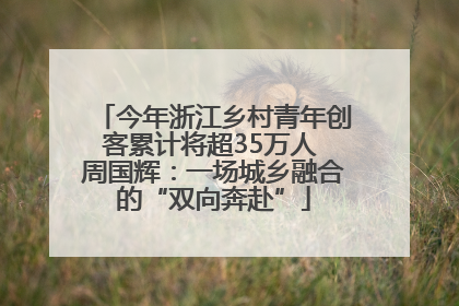 今年浙江乡村青年创客累计将超35万人 周国辉：一场城乡融合的“双向奔赴”