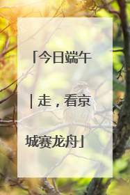 今日端午｜走，看京城赛龙舟