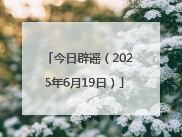 今日辟谣（2025年6月19日）