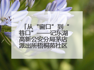 从“窗口”到“巷口”——记东湖高新公安分局茅店派出所梧桐苑社区民警樊艳玲