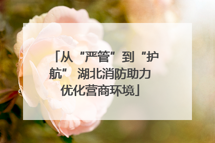 从“严管”到“护航” 湖北消防助力优化营商环境