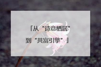 从“诗意栖居”到“共富引擎”