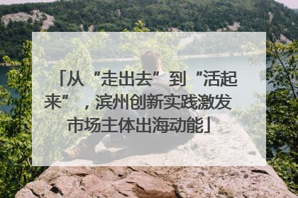 从“走出去”到“活起来”，滨州创新实践激发市场主体出海动能