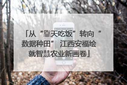 从“靠天吃饭”转向“数据种田” 江西安福绘就智慧农业新画卷