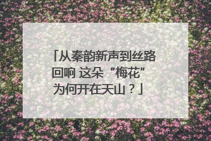 从秦韵新声到丝路回响 这朵“梅花”为何开在天山？