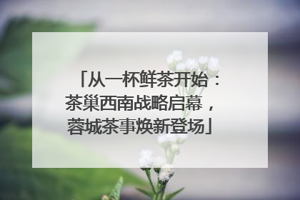 从一杯鲜茶开始：茶巢西南战略启幕，蓉城茶事焕新登场