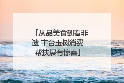 从品美食到看非遗 丰台玉树消费帮扶展有惊喜